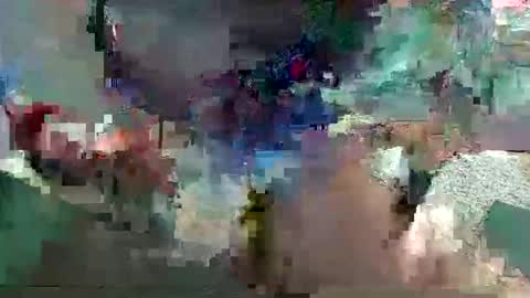 flphlover69384566 online show from 10, 11, 2025