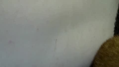Snapshot of flufferbutt2 chatting on 4, 4, 2026 flufferbutt2 online show from 4, 4, 2026