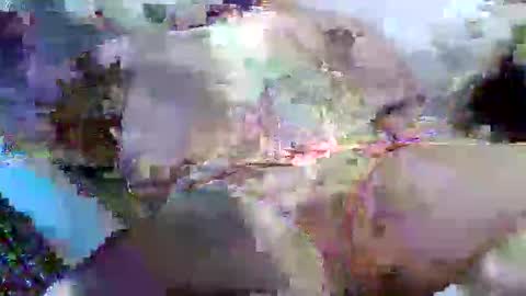 Snapshot of flufferbutt2 chatting on 14, 4, 2026 flufferbutt2 online show from 14, 4, 2026