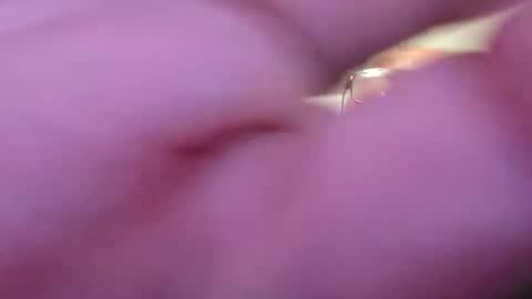 focusfuker online show from 14, 11, 2025