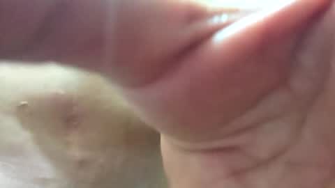 Snapshot of follador6543 chatting on 1, 6, 2026 follador6543 online show from 1, 6, 2026