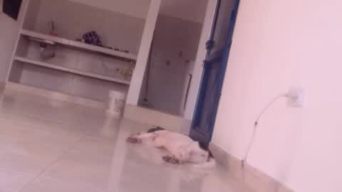 Snapshot of forbidden_games__ chatting on 27, 12, 2024 emely and felix online show from 27, 12, 2024