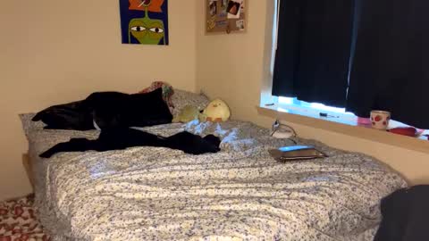 beautiful blair online show from 9, 1, 2025