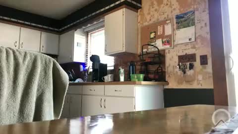 Snapshot of frankdaddy896 chatting on 8, 4, 2026 Frank online show from 8, 4, 2026