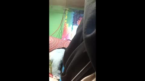 frankie1961slaight online show from 19, 3, 2026