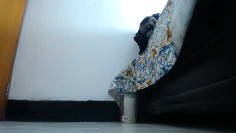 Snapshot of franklinm_7777 chatting on 12, 11, 2025 franklinm_7777 online show from 12, 11, 2025