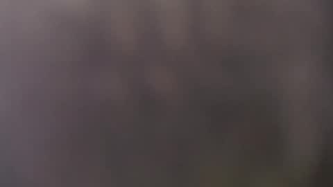 Snapshot of frasalv chatting on 15, 5, 2026 francescosal online show from 15, 5, 2026