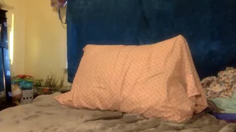 Squirrel twink online show from 19, 4, 2026