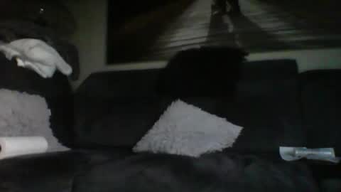 Snapshot of fredo76491 chatting on 31, 10, 2025 fredo76491 online show from 31, 10, 2025