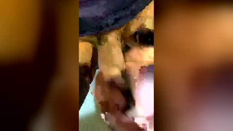 freestpeople online show from 14, 4, 2026