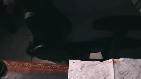 Snapshot of freetryal chatting on 21, 11, 2025 freetryal online show from 21, 11, 2025