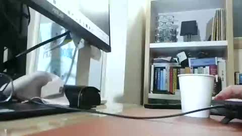 K-Dick online show from 1, 3, 2025