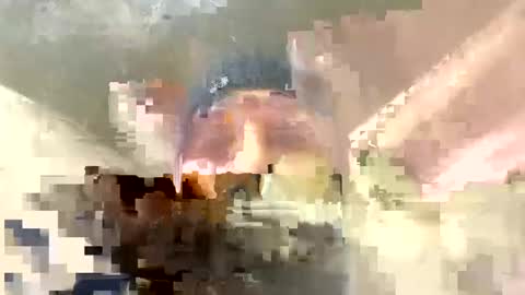 Snapshot of frenchhard0000 chatting on 17, 12, 2024 Horny french hard online show from 17, 12, 2024