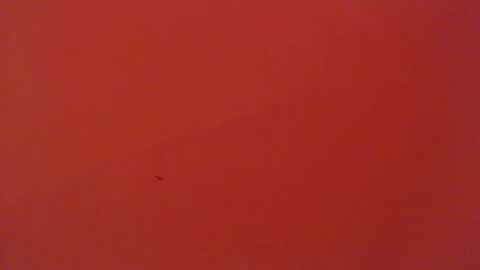 FREYJA LOREN online show from 6, 2, 2025