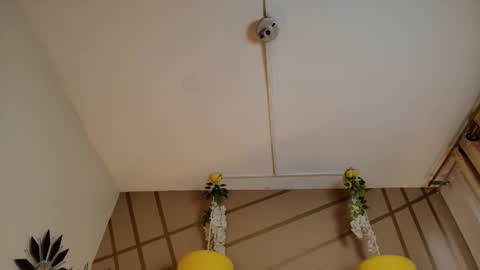 frreeya online show from 10, 3, 2026