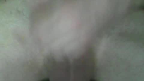 Snapshot of fryboxxxxx chatting on 2, 7, 2026 fry online show from 2, 7, 2026