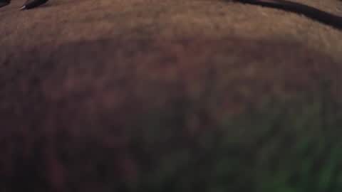 fumymo online show from 7, 1, 2026