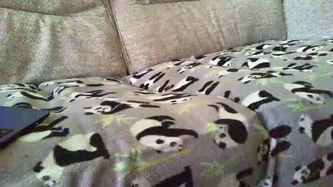 Snapshot of funslimguy chatting on 30, 12, 2024 Funslimguy online show from 30, 12, 2024