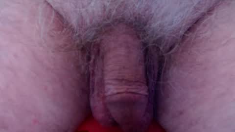 Snapshot of fuzzzman chatting on 28, 2, 2025 Mark online show from 28, 2, 2025