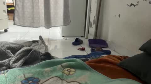 gab021593 online show from 22, 12, 2025