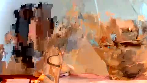 Dani online show from 23, 1, 2025