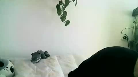 Snapshot of gaelgarcia07 chatting on 11, 2, 2026 Gael Garca online show from 11, 2, 2026