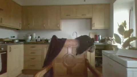 Snapshot of galacx chatting on 21, 2, 2025 galacx online show from 21, 2, 2025