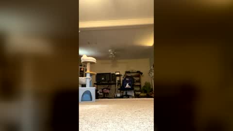 Snapshot of galaxxyrose chatting on 7, 6, 2026 GalaxxyRose online show from 7, 6, 2026