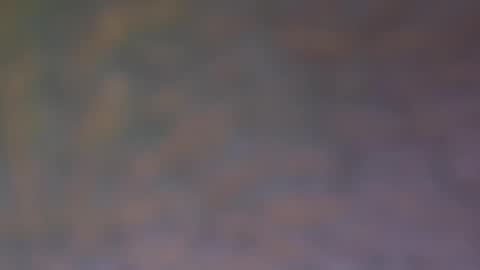 Snapshot of gastondimango chatting on 9, 11, 2025 gastondimango online show from 9, 11, 2025