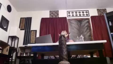 Snapshot of gatewaylaptop2019 chatting on 26, 4, 2026 gatewaylaptop2019 online show from 26, 4, 2026
