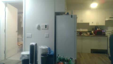 geekgamer41 online show from 3, 11, 2025