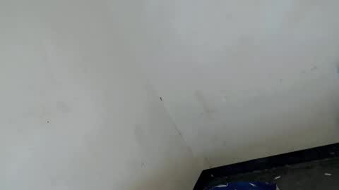 gelo online show from 21, 3, 2026