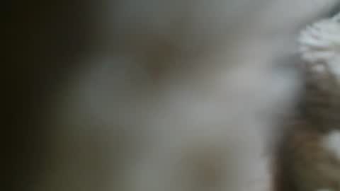 george online show from 3, 10, 2025