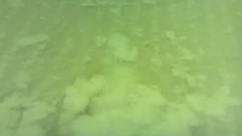 Snapshot of georgempt chatting on 15, 6, 2026 georgempt online show from 15, 6, 2026