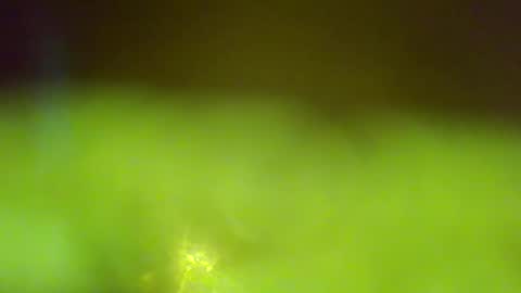 germanandy71 online show from 6, 1, 2026