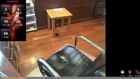 Snapshot of geronimo_431 chatting on 6, 11, 2025 Daddy Jokes online show from 6, 11, 2025