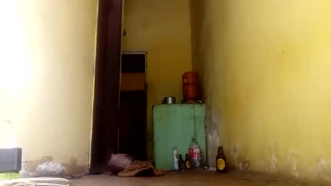 Gaby online show from 24, 9, 2025