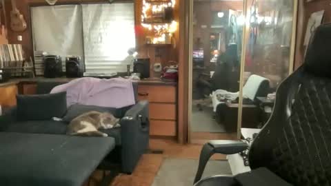 ghostboygbc online show from 17, 3, 2026