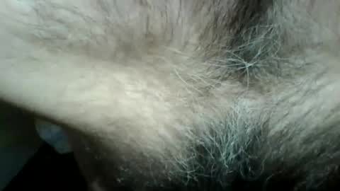 gigigegio sky online show from 14, 9, 2025