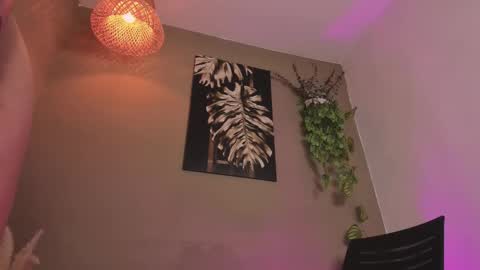 Ginebra online show from 19, 1, 2026