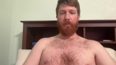 Snapshot of gingermania10 chatting on 4, 12, 2024 gingermania10 online show from 4, 12, 2024