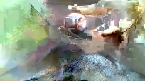 girafsnoop online show from 4, 1, 2025