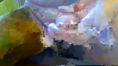 girafsnoop online show from 28, 9, 2025