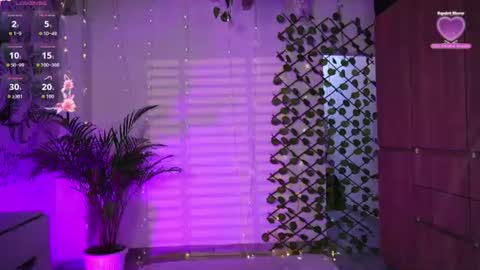 Snapshot of giselx_xx chatting on 3, 7, 2026 GISEL online show from 3, 7, 2026