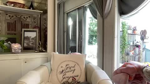 Snapshot of gl1tter_barbie chatting on 20, 4, 2026 Gl1tter Barbie online show from 20, 4, 2026