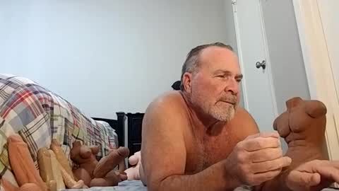 gobare1 online show from 29, 10, 2025