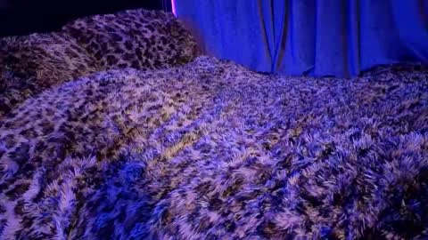 Snapshot of goddessmaenyc chatting on 8, 1, 2026 Goddess Mae NYC online show from 8, 1, 2026