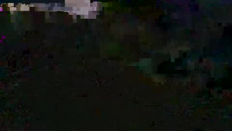 godonsin online show from 10, 12, 2024