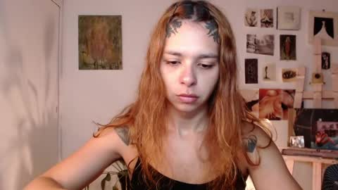 Alaska online show from 15, 4, 2026