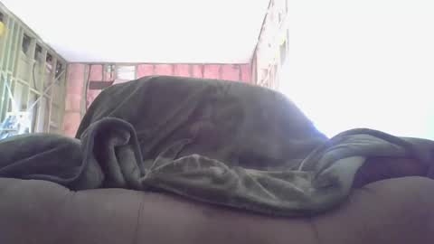 goodcock12345 online show from 3, 12, 2024